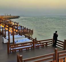 Ginsoy - Shahbaz HQ thumbnail 2